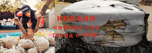 бошки Алзамай