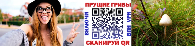 Псилоцибиновые грибы Magic Shrooms  гидра tor  Железноводск 